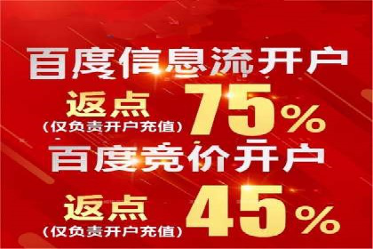 百度竞价包年推广效果：行业领先企业的成功之道